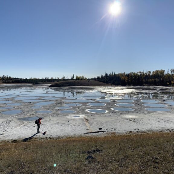 Buffo lakes field trip